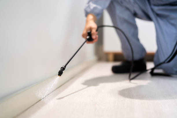 Licensed Mosquito Control service in High Point, FL - Show Me Pest Control