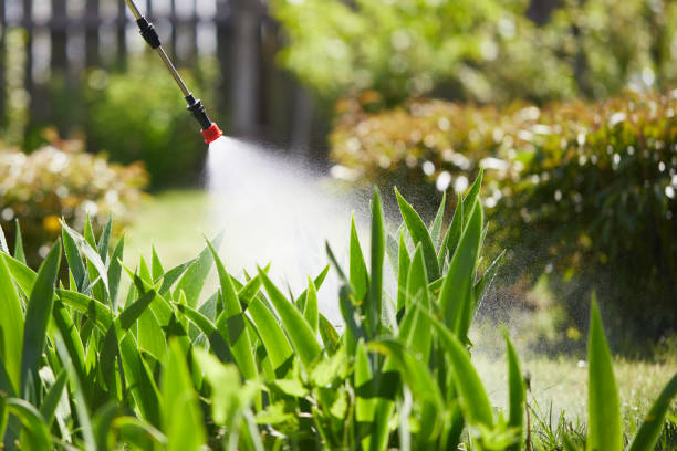 24/7 Emergency Mosquito Control experts in High Point, FL