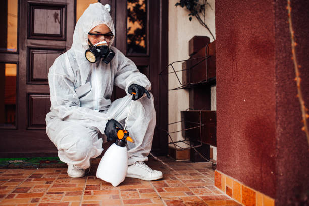 Reliable Mosquito Control contractor in High Point, FL by Show Me Pest Control