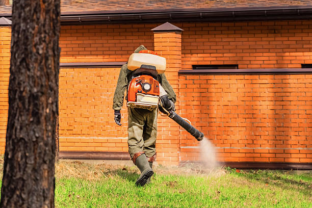 Top rated local Mosquito Control specialists in High Point, FL
